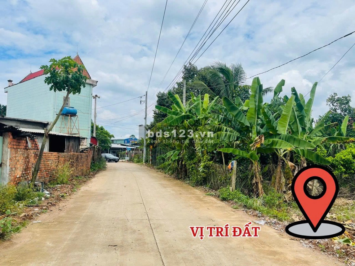 Đất ngay trung tâm chợ An Linh Bình Dương.