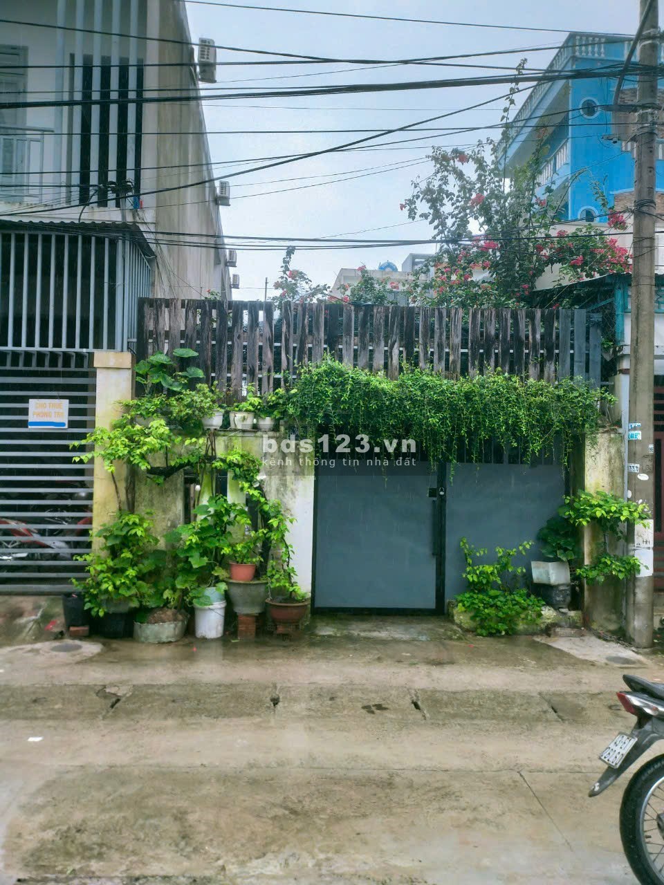 Bán 2 lô đất 400M² - Sẵn nhà cho thuê Đường Đặng Thái Thân