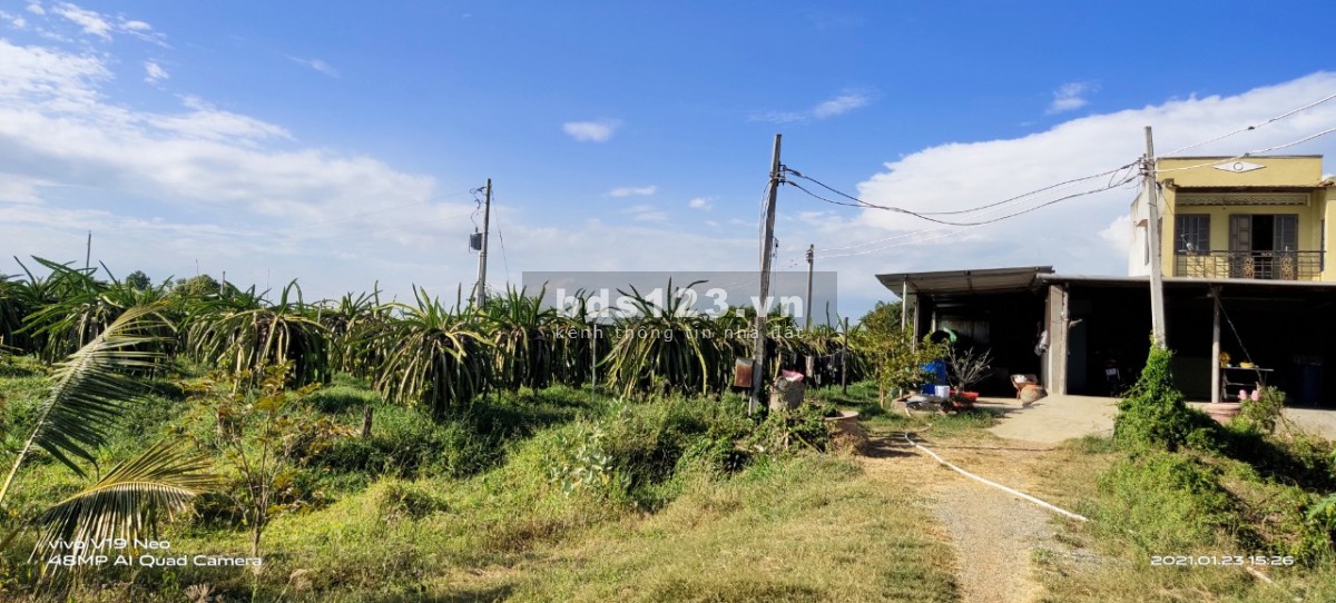 Tôi cần bán - đất view hồ Sông Lũy, Bình Thuận