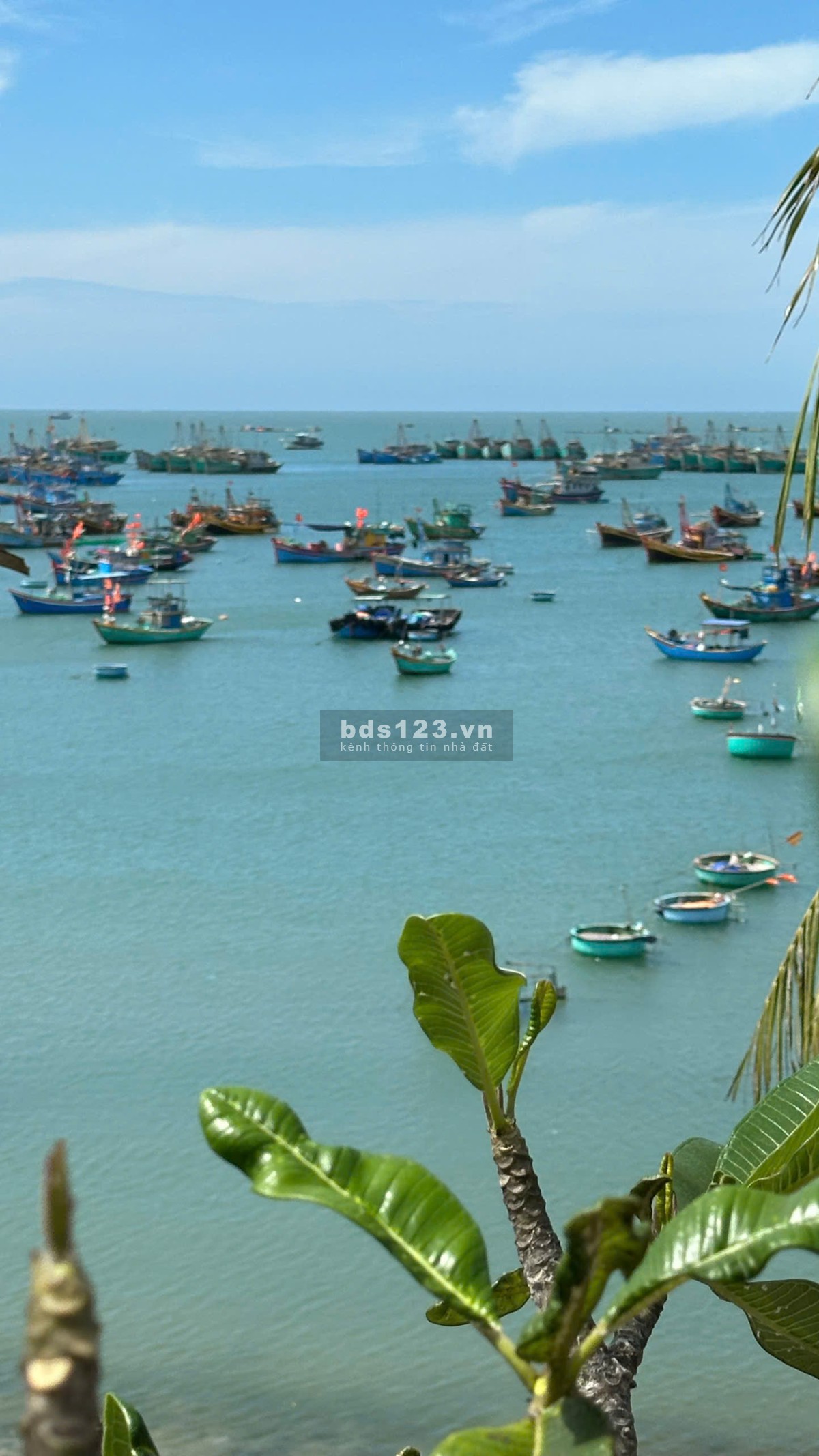 Tôi cần bán đất view biển, Bàu Trắng, Phan Thiết.
