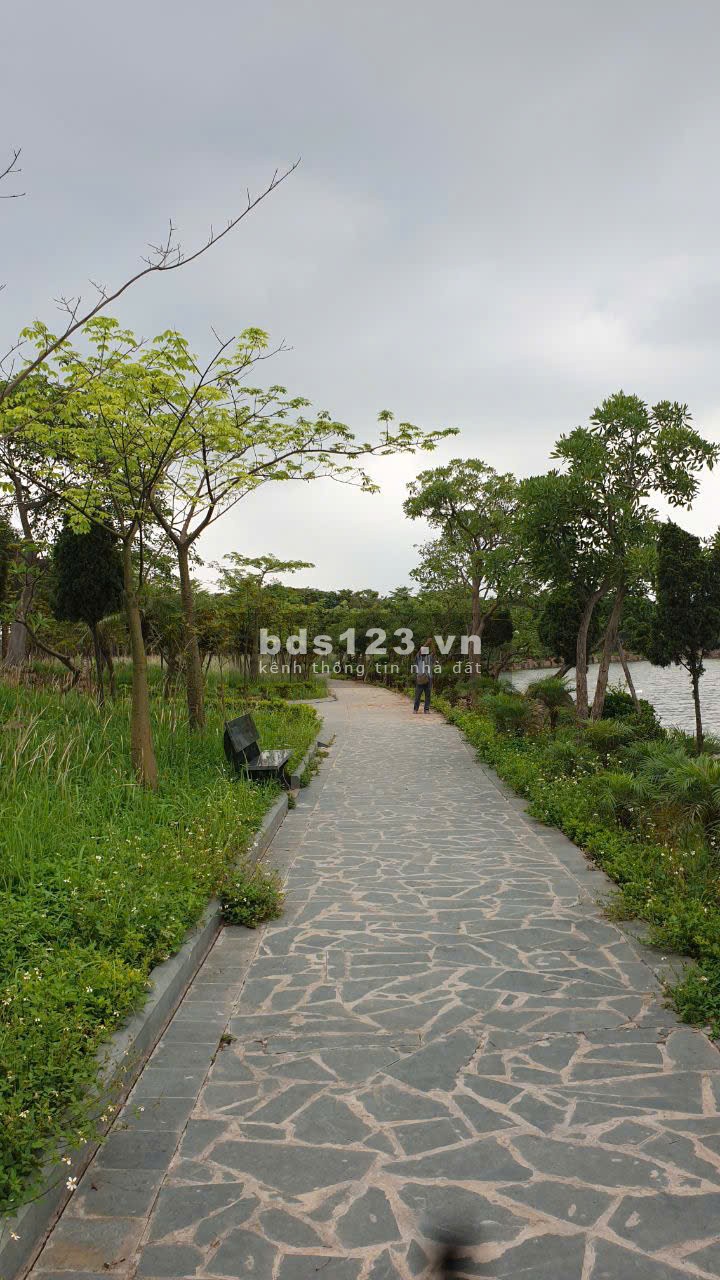 Siêu phẩm đất đẹp trung tâm Từ Sơn – View hồ – Sổ đỏ từng lô – Giá chỉ từ 44 triệu/m²