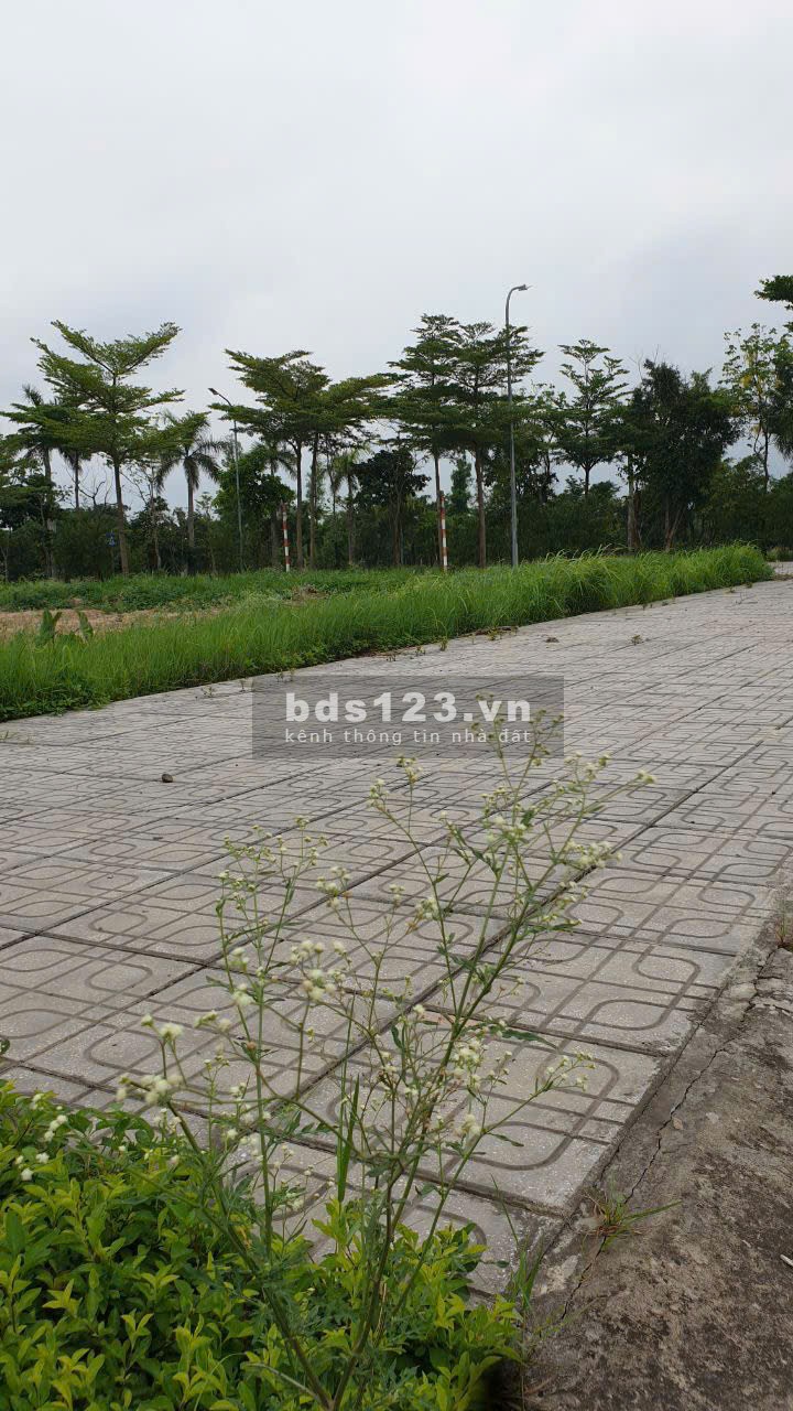 Siêu phẩm đất đẹp trung tâm Từ Sơn – View hồ – Sổ đỏ từng lô – Giá chỉ từ 44 triệu/m²