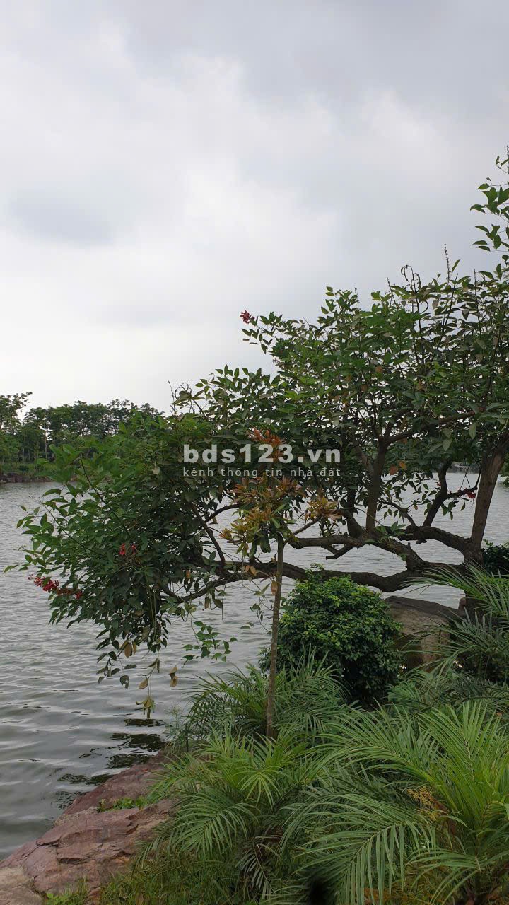 Siêu phẩm đất đẹp trung tâm Từ Sơn – View hồ – Sổ đỏ từng lô – Giá chỉ từ 44 triệu/m²