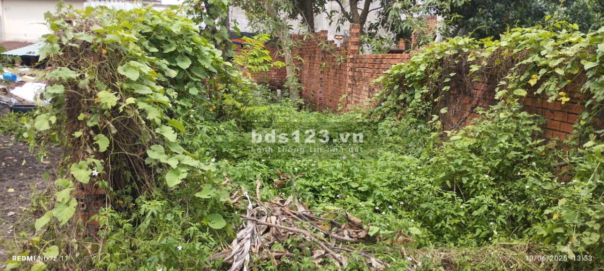 Bán gấp 60m2 đất trồng cây lâu năm Lê Văn Khương, Đông Thạnh Hóc Môn