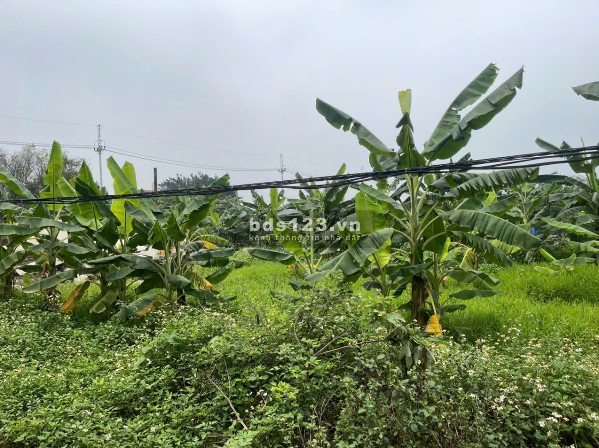 Bán gấp lô đất vị trí đẹp bám mặt sông Hòa Bình – Cơ hội vàng cho nhà đầu tư