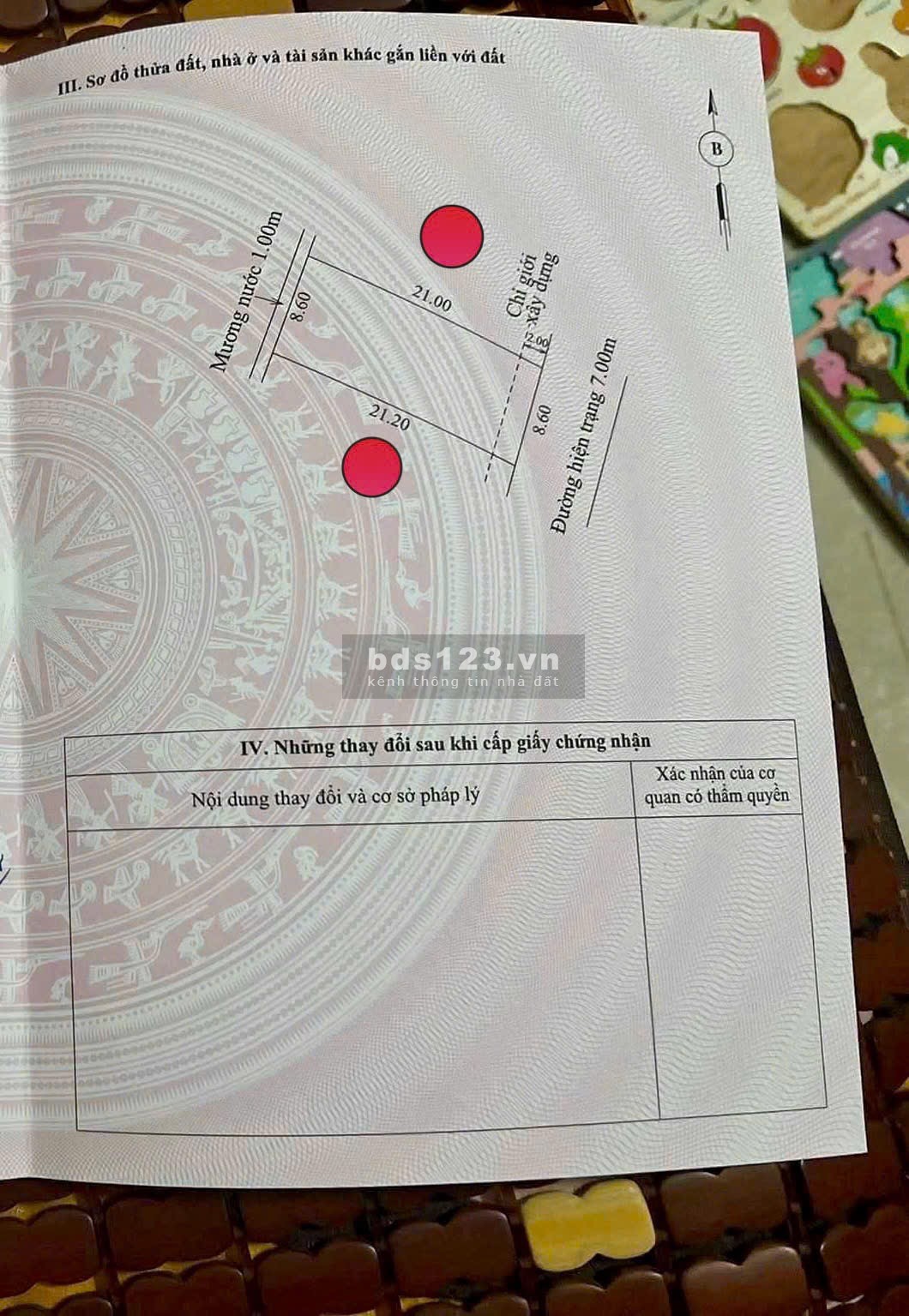 Người thân gửi bán lô đất đẹp Quảng Phước, Quảng Điền 182m2 ngang 8,6m