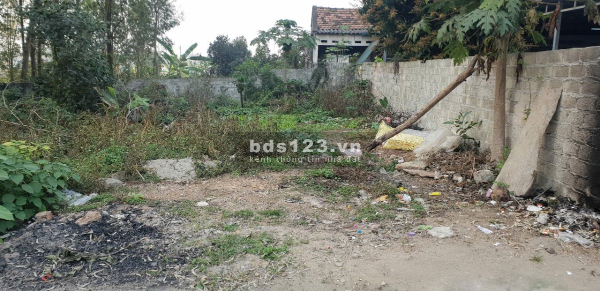 Bán đất đối diện KCN Tam Dương đang san lấp mặt bằng