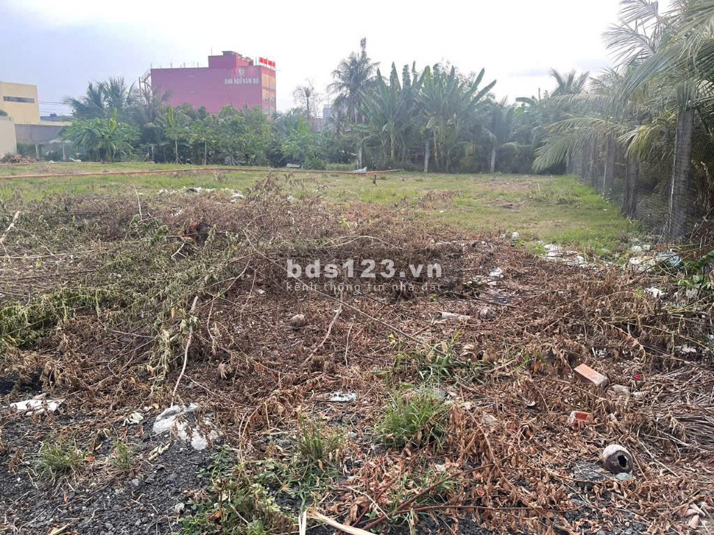 Bán gấp 8 lô đất đẹp, đường Tập Đoàn 8, Bình Chánh, diện tích 100m² tùy nền, giá chỉ từ 800 triệu/lô