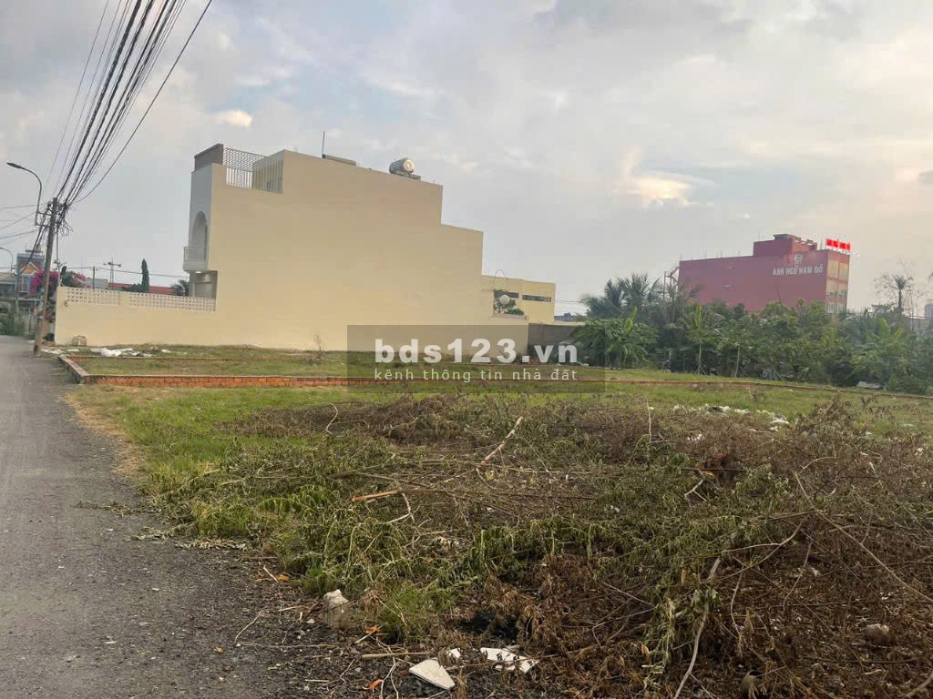 Bán gấp 8 lô đất đẹp, đường Tập Đoàn 8, Bình Chánh, diện tích 100m² tùy nền, giá chỉ từ 800 triệu/lô