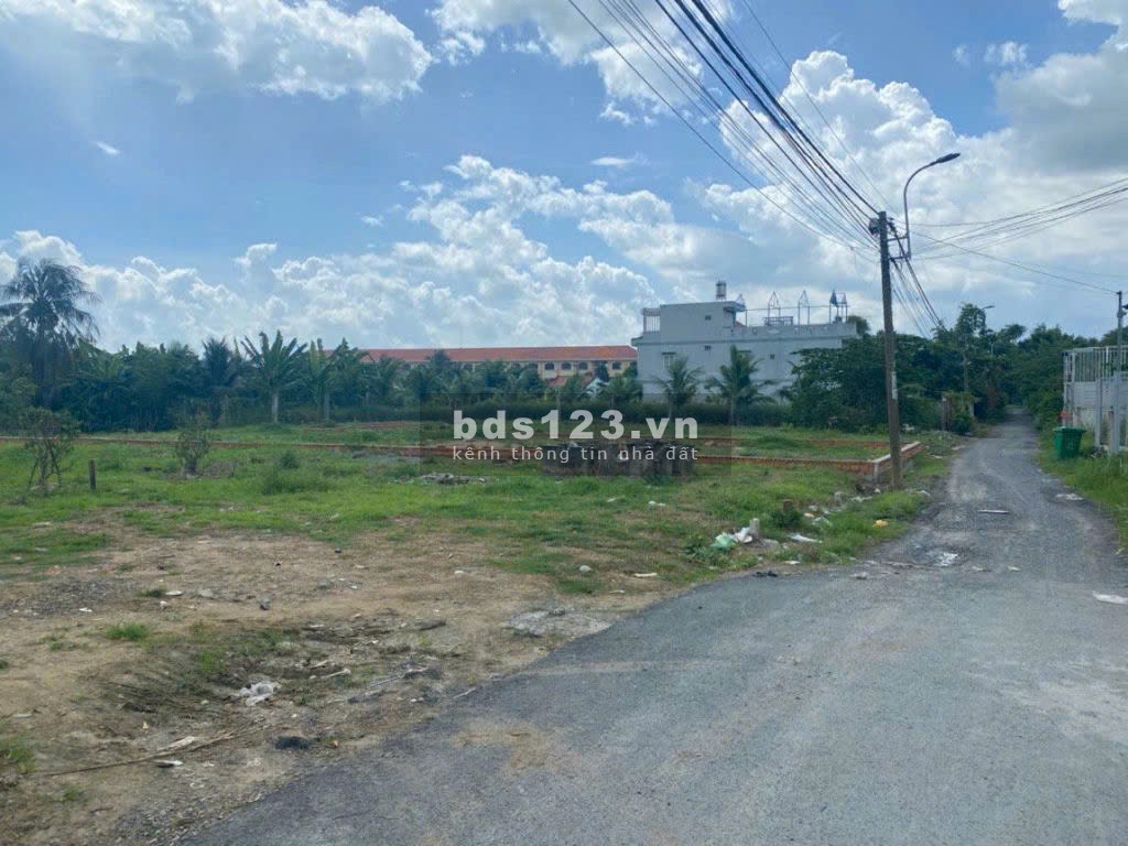 Bán gấp 8 lô đất đẹp, đường Tập Đoàn 8, Bình Chánh, diện tích 100m² tùy nền, giá chỉ từ 800 triệu/lô