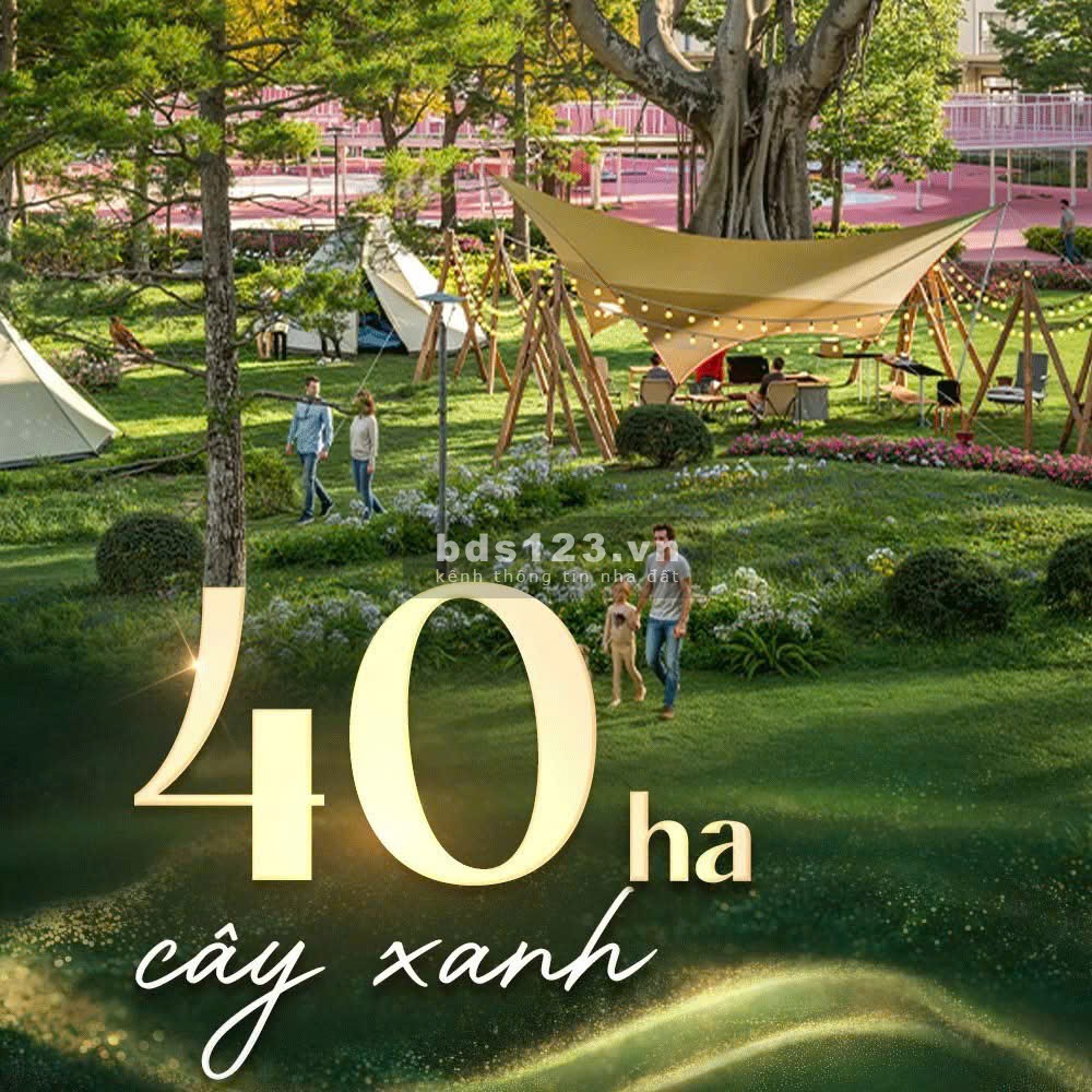 Mở bán liền kề 63-65m Vinhomes Golden City- Dương Kinh- HP giá nhỉnh 5 tỷ