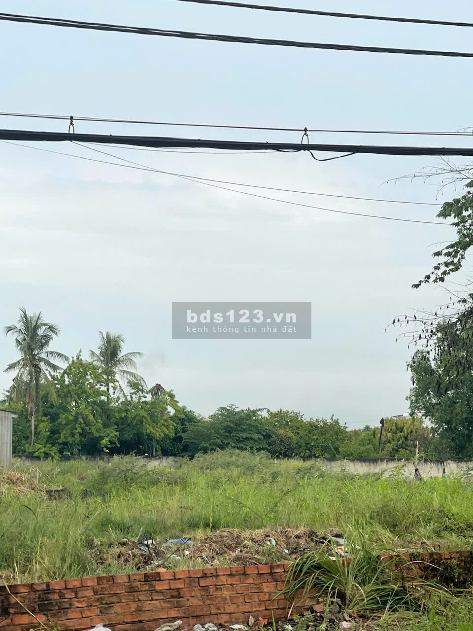 Đất lớn mặt tiền Bưng Ông Thoàn 198 tỷ.