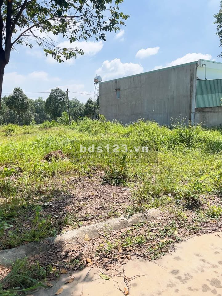 Bán Đất Thủ Dầu Một Bình Dương, có sổ ,khu dân cư đông