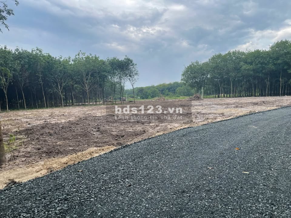 Bán đất full thổ, cách mặt tiền đường … khoảng 200m