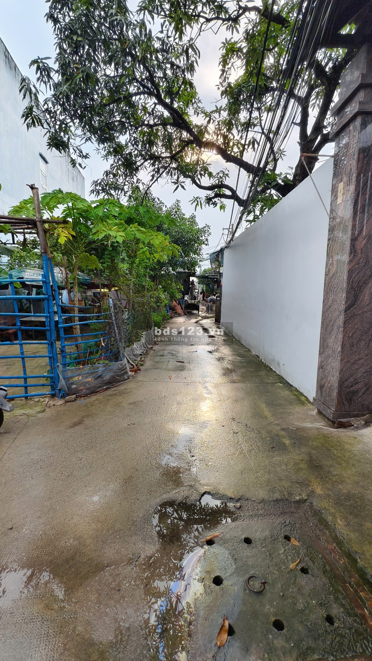 Chính chủ bán nhà 2 mặt tiền - Hẻm Nguyễn Ảnh Thủ