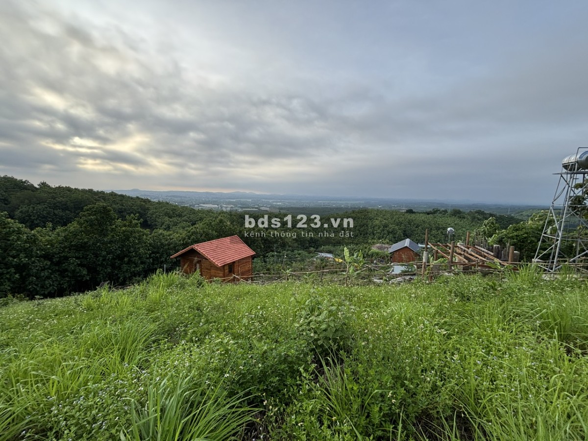 Đất Đẹp La Ngà – Sổ Riêng, View Chill, Đường Ô Tô – Chính Chủ Sang Nhượng