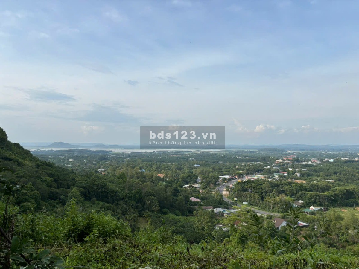 Đất Đẹp La Ngà – Sổ Riêng, View Chill, Đường Ô Tô – Chính Chủ Sang Nhượng