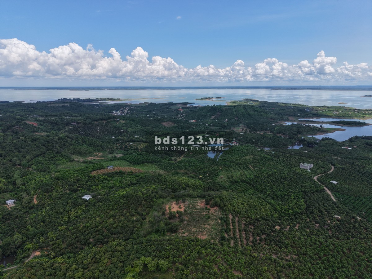 Đất Đẹp La Ngà – Sổ Riêng, View Chill, Đường Ô Tô – Chính Chủ Sang Nhượng