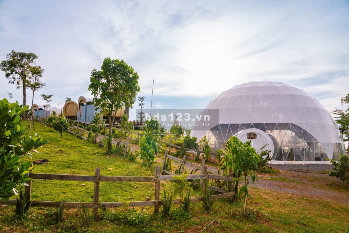 Đất Đẹp La Ngà – Sổ Riêng, View Chill, Đường Ô Tô – Chính Chủ Sang Nhượng