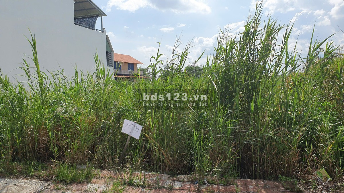 Bán đất khu DC Xã Long Hòa, Cần Đuớc, Long An đối diện trường TH Long Hòa 4,5m x 18m, 9m x 18m