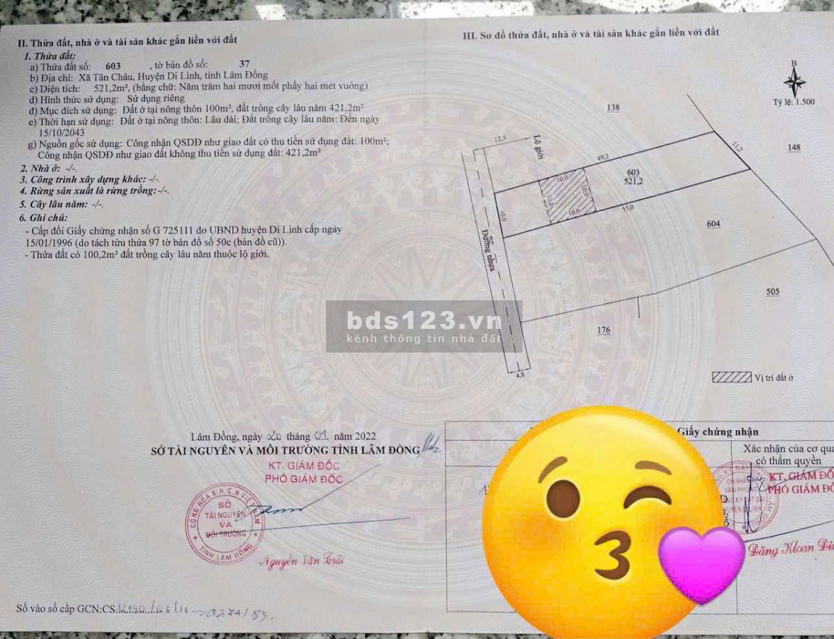 10x50 Đất Tân Châu - Di Linh 100m thổ đường nhựa KDC 1 tỷ