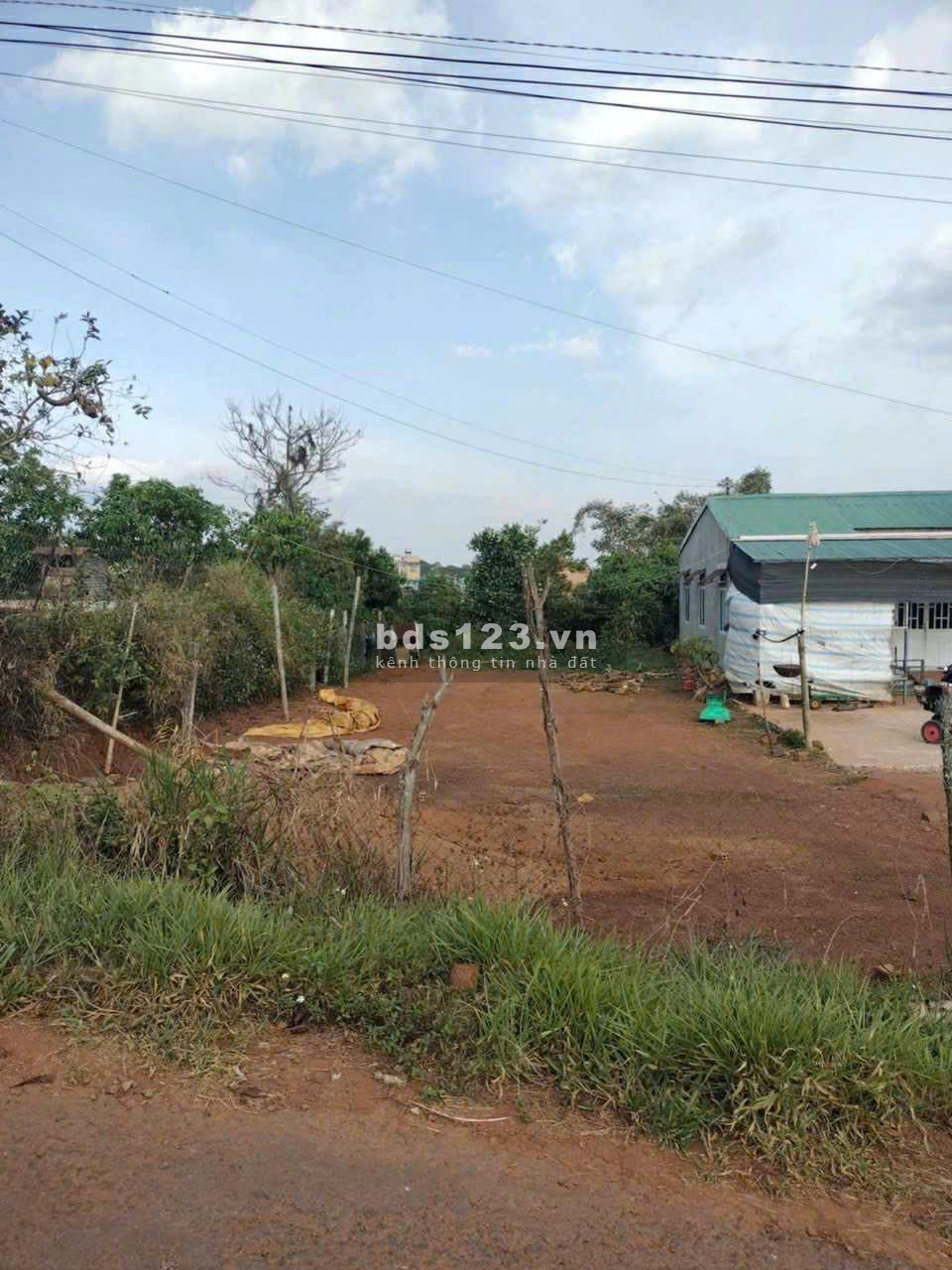 10x50 Đất Tân Châu - Di Linh 100m thổ đường nhựa KDC 1 tỷ