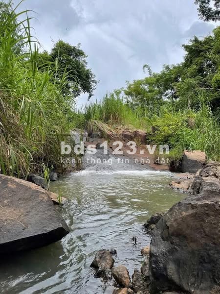 Cần nhượng lại lô đất 5.000m2 Ngọc Định - có suối, ô tô tới nơi, giá chỉ 290 triệu/sào