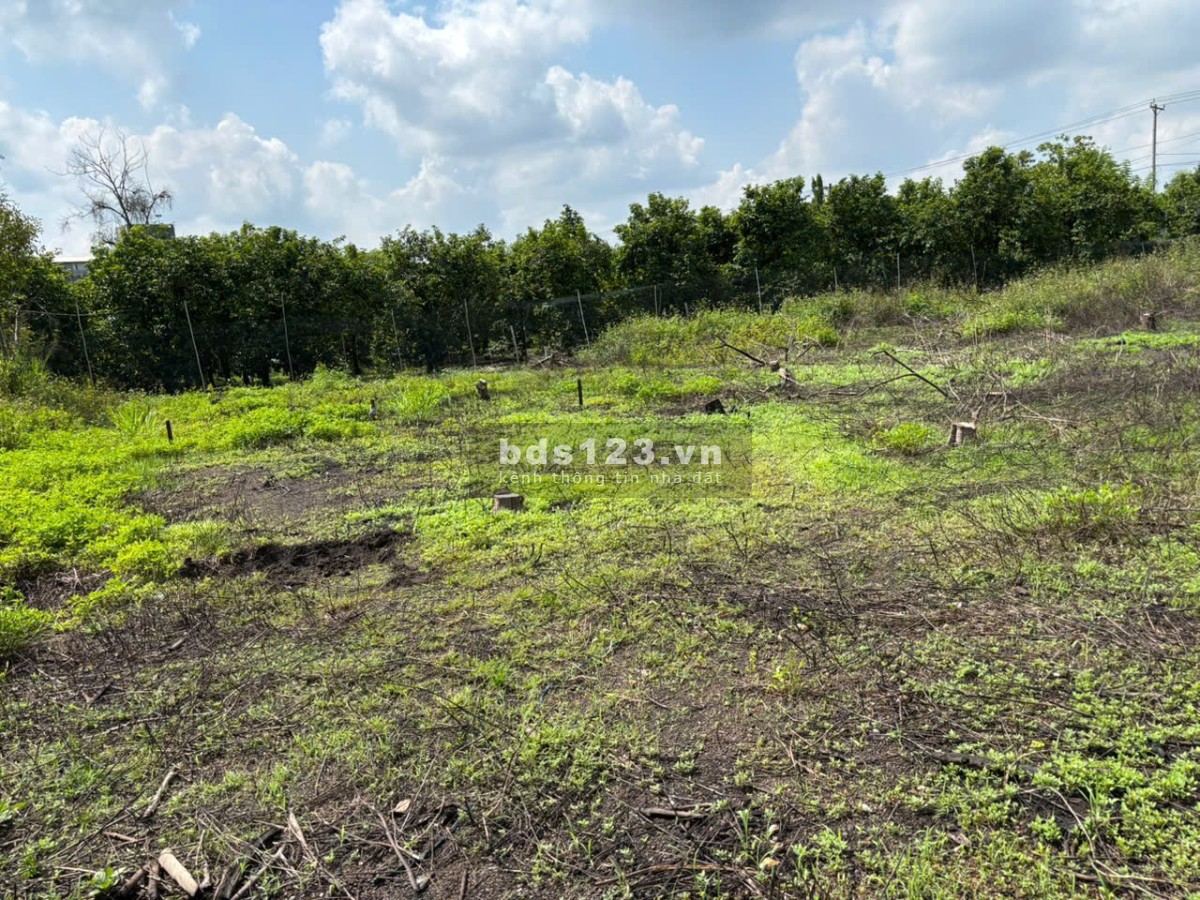 Cần nhượng lại lô đất 5.000m2 Ngọc Định - có suối, ô tô tới nơi, giá chỉ 290 triệu/sào