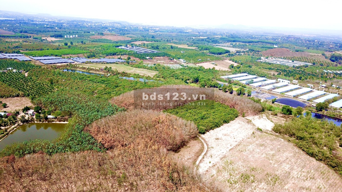 1600m2 mt hơn 80m Phú Ngọc đường ô tô giá 790tr