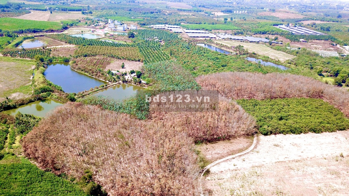 1600m2 mt hơn 80m Phú Ngọc đường ô tô giá 790tr