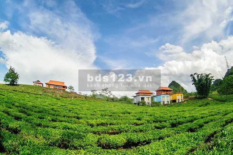 Chính chủ cần vốn kinh doanh bán đất tại bản Chiềng Đi