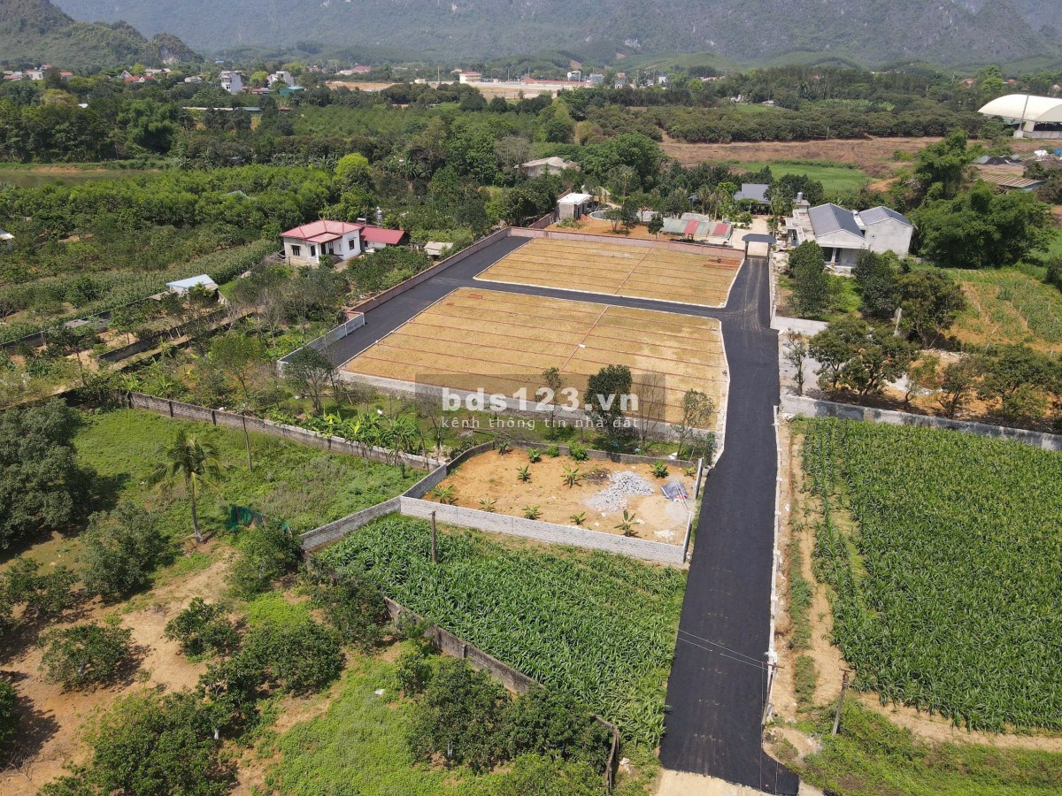Cơ hội vàng cho nhà đầu tư sáng suốt - Đất nền F0 gần KCN Phú Thành – Hòa Bình.