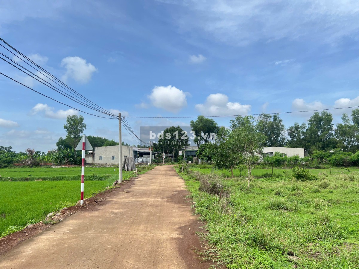 Cần bán lô đất thổ cư 562m² tại Gia Tân 2, Thống Nhất – gần Đức Mẹ Núi Cúi