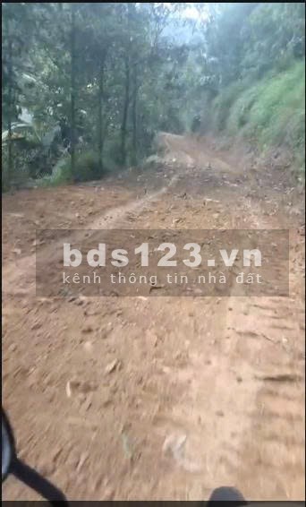 Diện tích đất trong sổ 10ha, ngoài sổ 5ha, đất rsx, chính chủ tại Liên Sơn, Lương Sơn, Hoà Bình