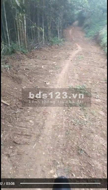 Diện tích đất trong sổ 10ha, ngoài sổ 5ha, đất rsx, chính chủ tại Liên Sơn, Lương Sơn, Hoà Bình