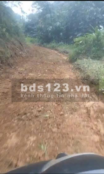 Diện tích đất trong sổ 10ha, ngoài sổ 5ha, đất rsx, chính chủ tại Liên Sơn, Lương Sơn, Hoà Bình