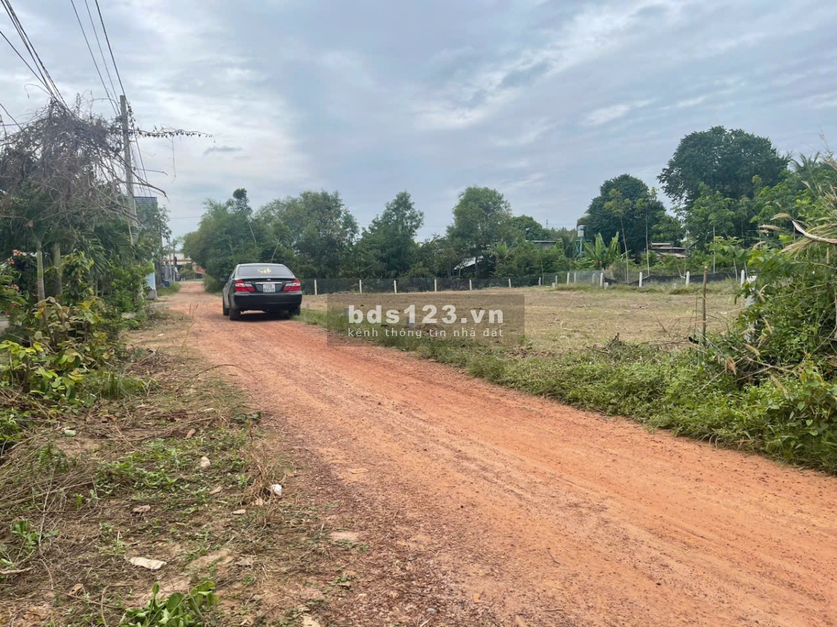 Chính chủ bán đất ngay chợ Cầu Xe đường DT787 250m (200m2 - 600tr). ZL: 0905099203 sang tên ngay