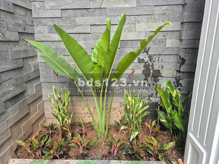 Bán Nhà Độc Lập 3.5 Tầng – Vị Trí Đẹp Tại Phạm Hữu Điều, Trần Nguyên Hãn, Lê Chân, Hải Phòng.