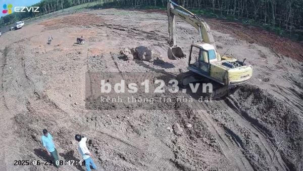 Cho thuê đất trống CLN tại Xã An Long, Tp. Hồ Chí Minh giá 20tr DT 4,5 ha