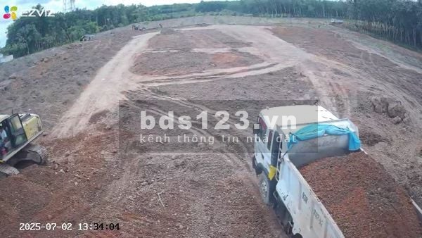 Cho thuê đất trống CLN tại Xã An Long, Tp. Hồ Chí Minh giá 20tr DT 4,5 ha
