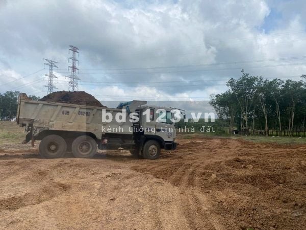 Cho thuê đất trống CLN tại Xã An Long, Tp. Hồ Chí Minh giá 20tr DT 4,5 ha