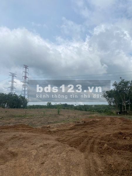 Cho thuê đất trống CLN tại Xã An Long, Tp. Hồ Chí Minh giá 20tr DT 4,5 ha