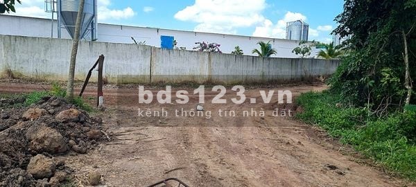 Cho thuê đất trống CLN tại Xã An Long, Tp. Hồ Chí Minh giá 20tr DT 4,5 ha