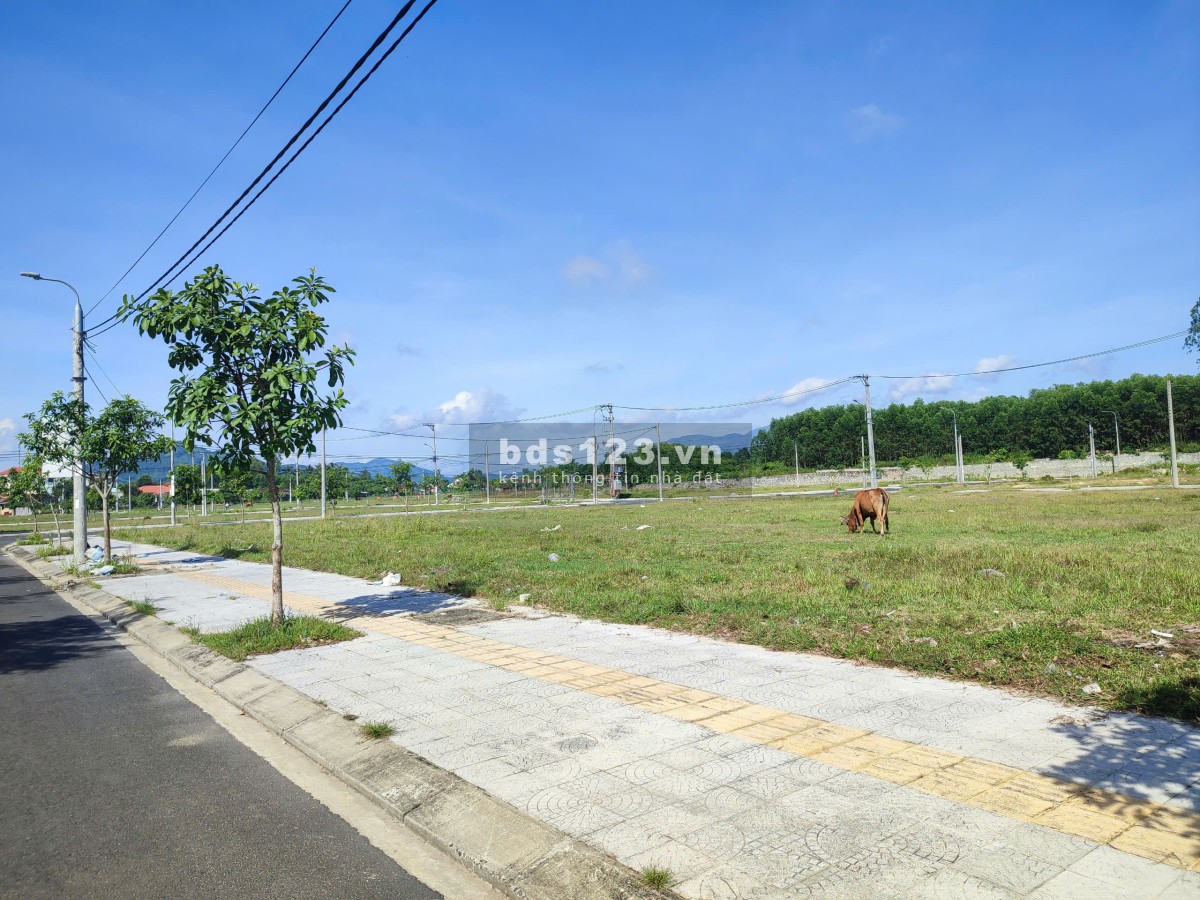 Bán đất nền sát chợ Đông Phú mới. Giá chỉ 30 triệu/m2, sổ hồng công chứng chuyển nhượng trong tháng.