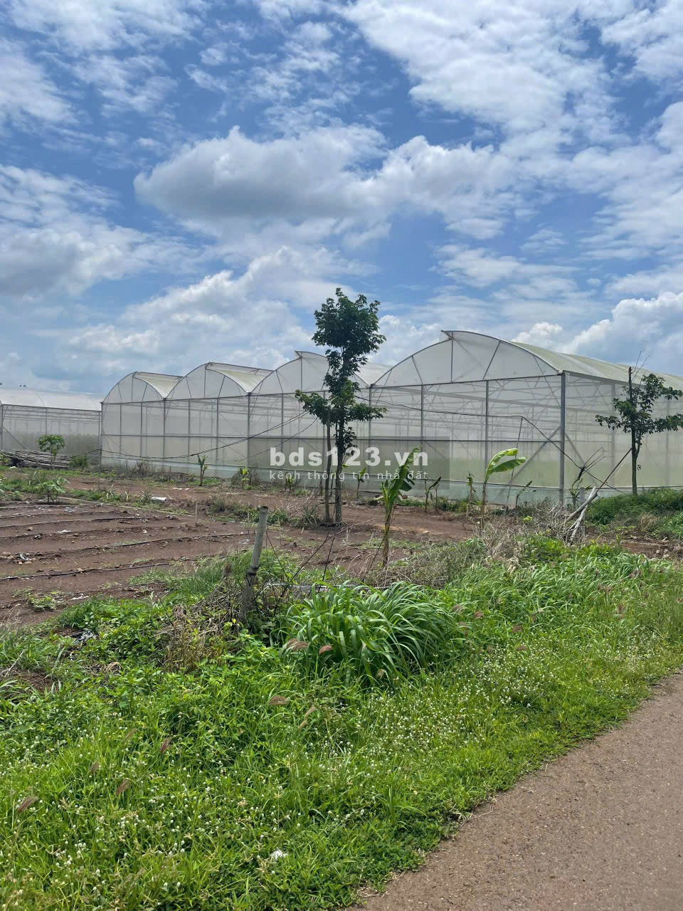 Em đang có hơn 20 lô đất nền diện tích 110 - 150m2 thổ 80m2 giá hơn 600tr xíu