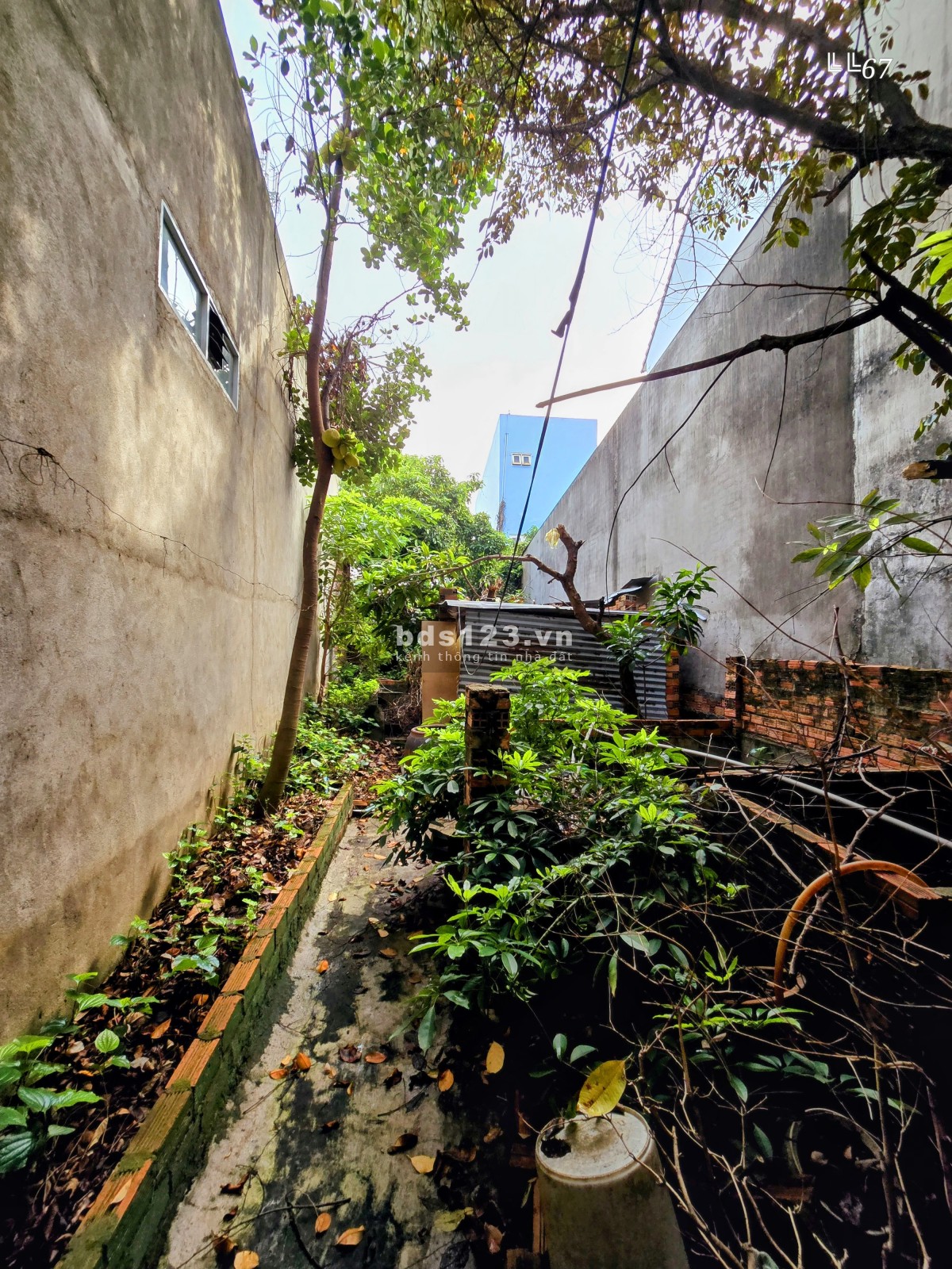CĂN NHÀ RỘNG 177m² RẺ NHẤT KHU VỰC Gần Cầu Sập & BV Âu Cơ. KP5B Phường Tân Biên - ĐỒNG NAI