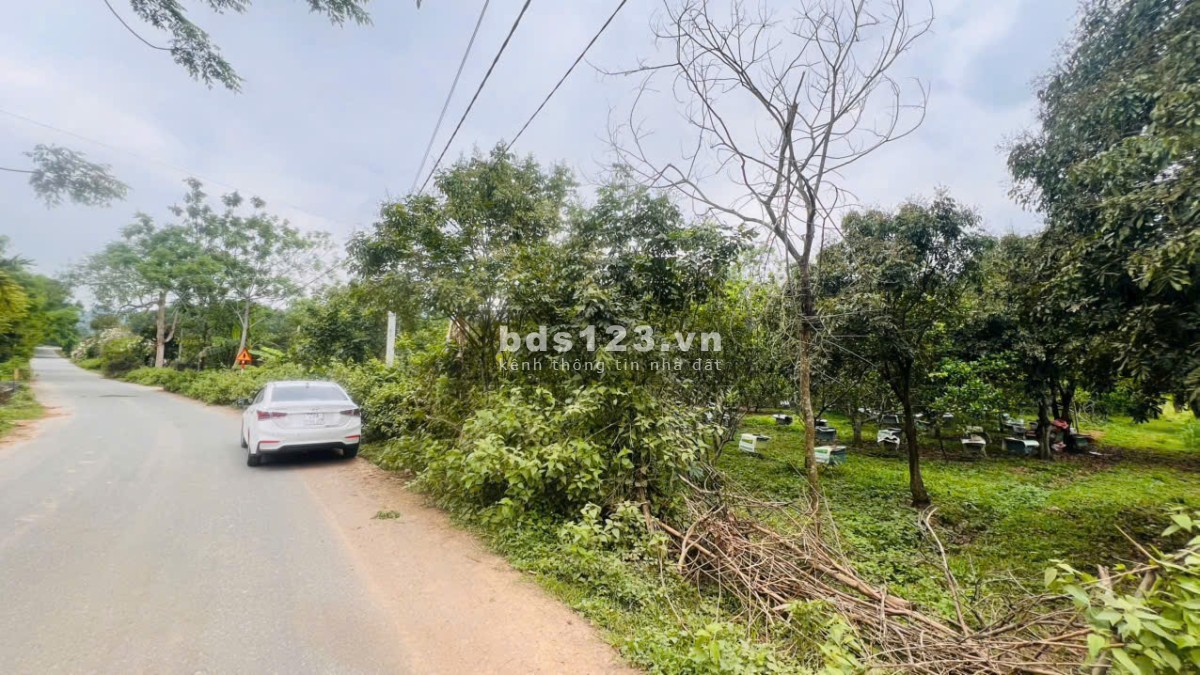 Chỉ 900k/m2 đất bám đường liên xã tại Lạc Thủy gần nhà máy in tiền, cách cáp treo Chùa Tiên chỉ 3km