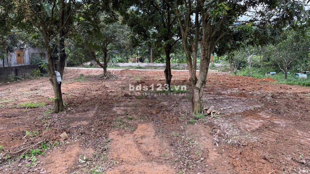 Chỉ 900k/m2 đất bám đường liên xã tại Lạc Thủy gần nhà máy in tiền, cách cáp treo Chùa Tiên chỉ 3km