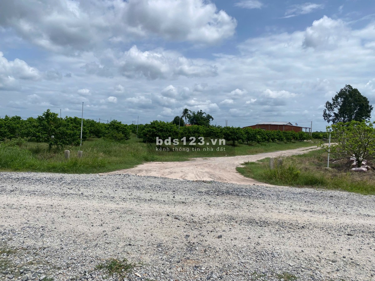 Cần bán đất DT 1000m² - View núi Bà - Đường xe hơi thông…