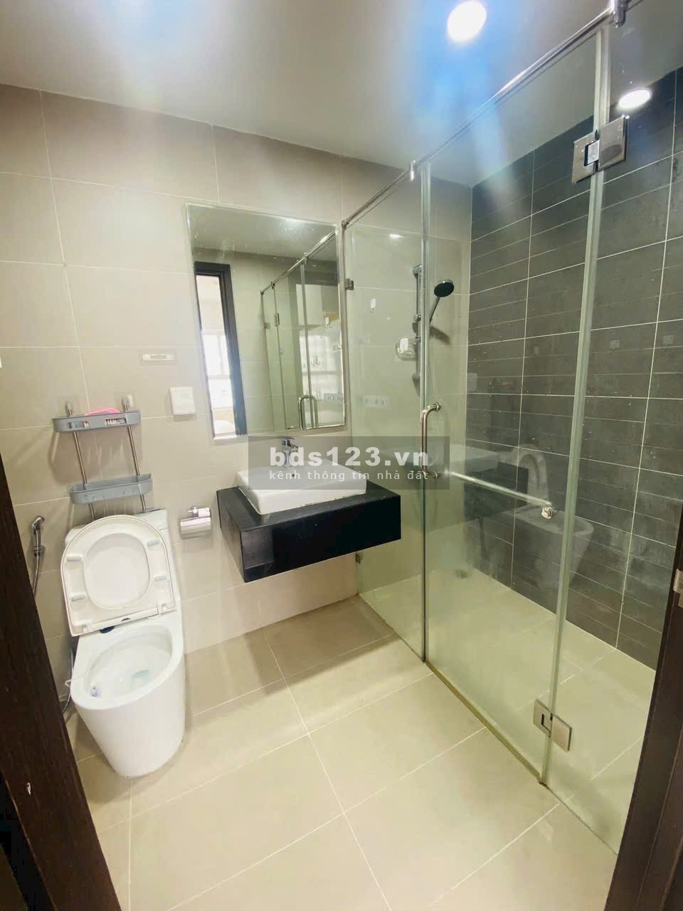 Cho thuê CC 2pn 2w Q7 Riverside full nội thất chỉ 11tr / tháng